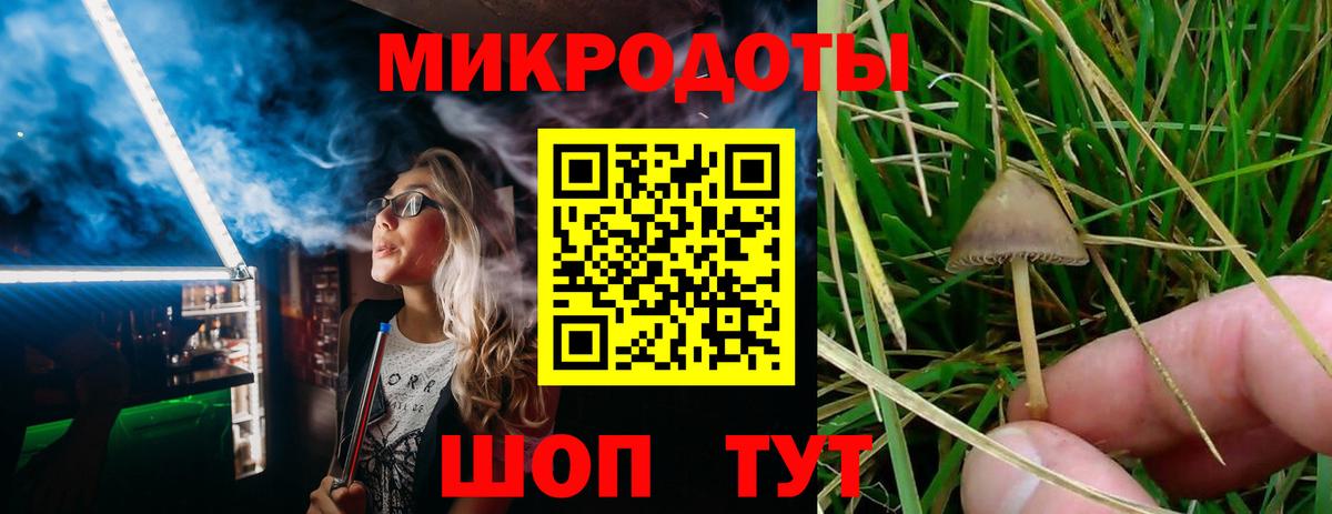 Псилоцибиновые грибы прущие грибы Кимры